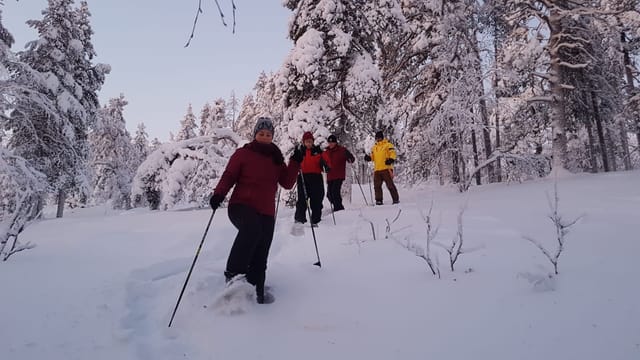 Discover Secrets of Lappish Nature – Snowshoe Experience