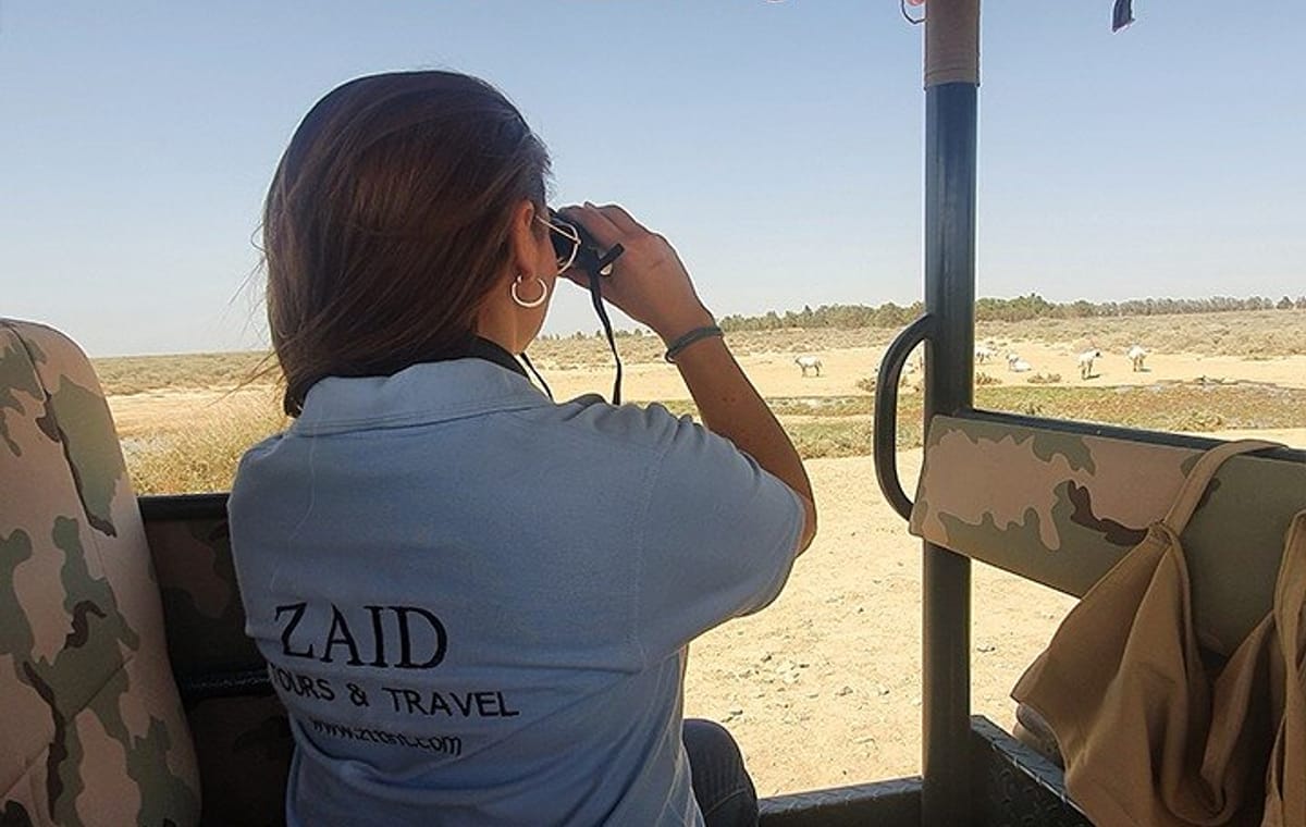 Private Tour of Desert Castles Eastern Jordan with optional Azraq Wetland Visit