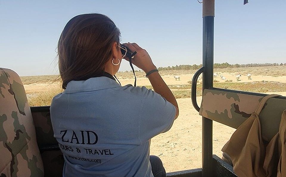 Private Tour of Desert Castles in Eastern Jordan