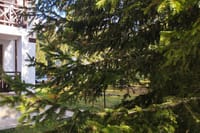 Private Horseback Riding Adventure to Red Rock in Smolyan 6