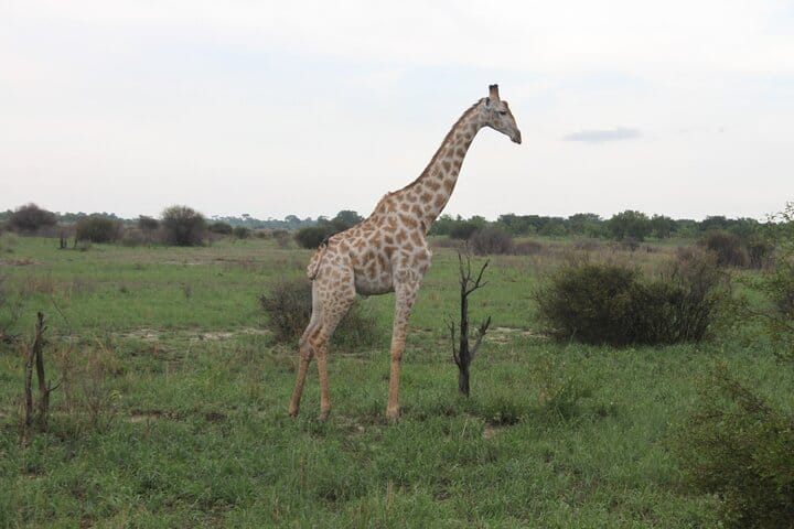 15 minutes scenic helicopter flight above Victoria Falls-Zimbabwe