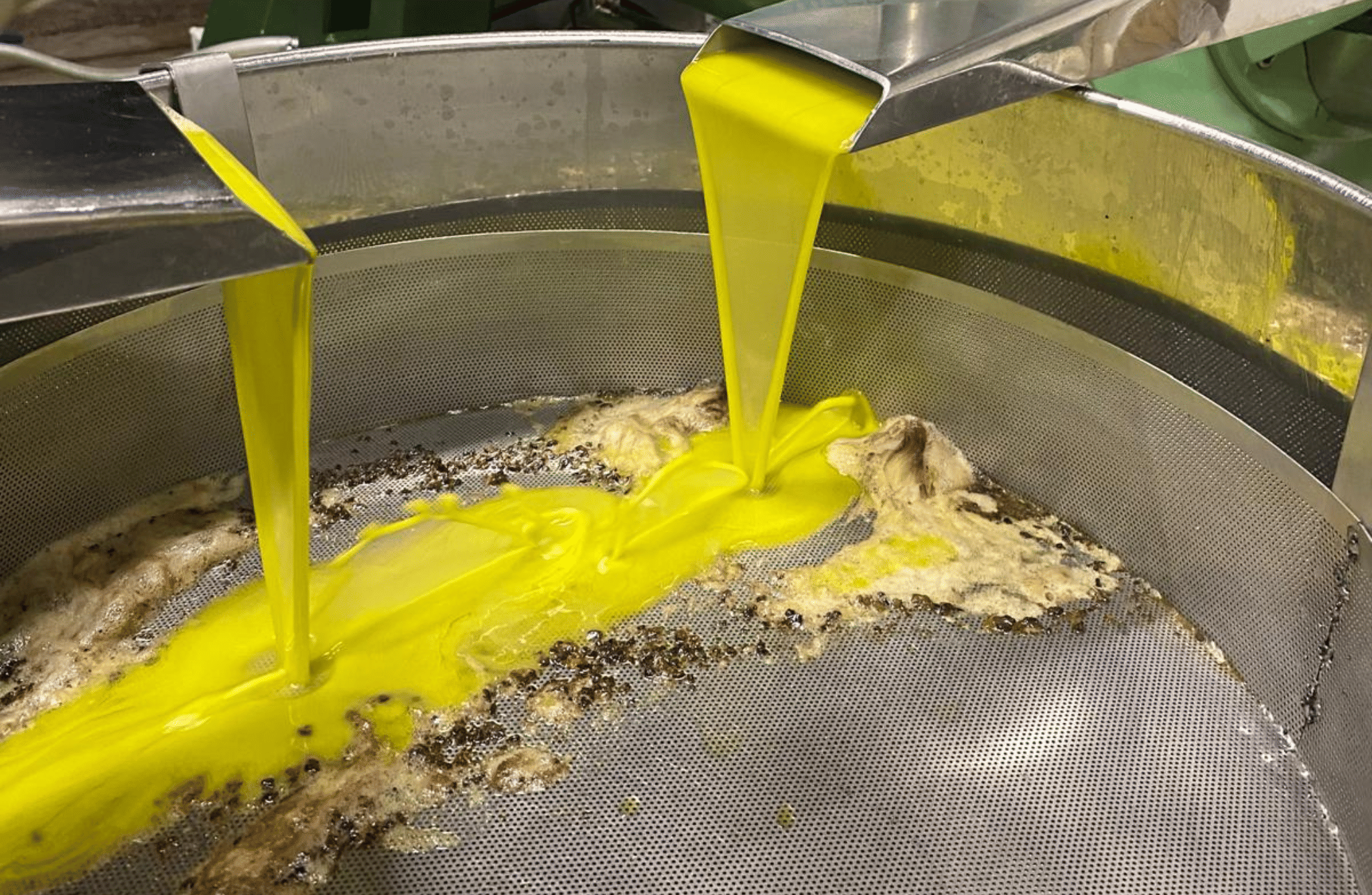 Sustainable Olive Mill Tour with Olive Oil Tasting in Chieti