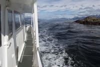 Beagle Channel and Sea Lions Island Catamaran Cruise 6