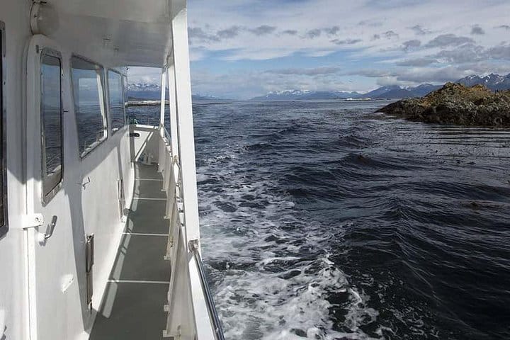 Beagle Channel and Sea Lions Island Catamaran Cruise 6