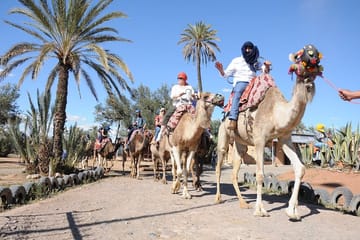 Camel Ride Through Marrakech Palm Grove Oasis