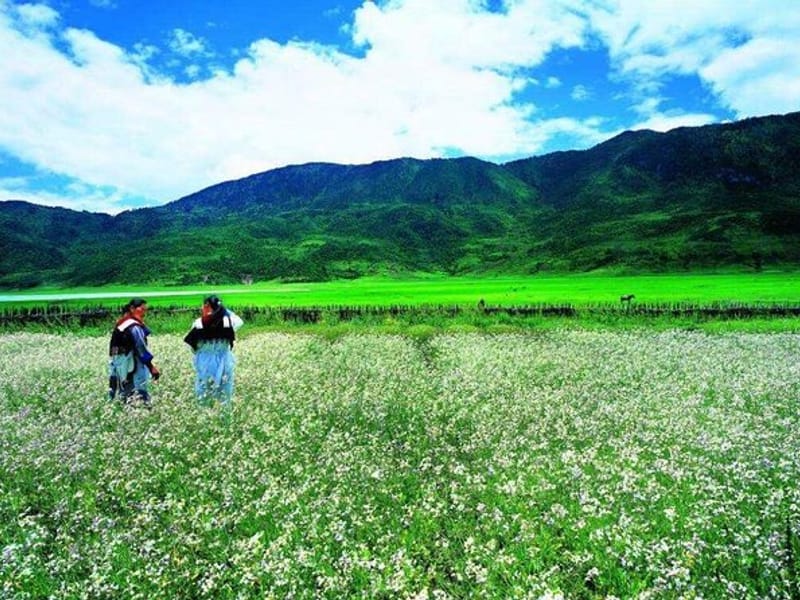 Lijiang: Wenhai Alpine Lake Trekking Day Tour with Naxi Lunch