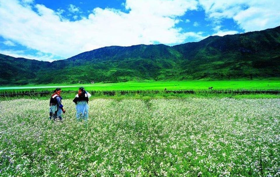 Wenhai Alpine Lake Trekking Day Tour in Lijiang with Naxi Lunch