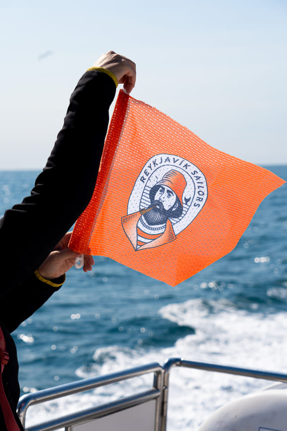 Best Value Whale Watching Tour from Reykjavik	 7