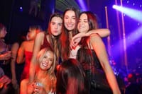 Drink up Miami: All Inclusive Nightlife Experience 6