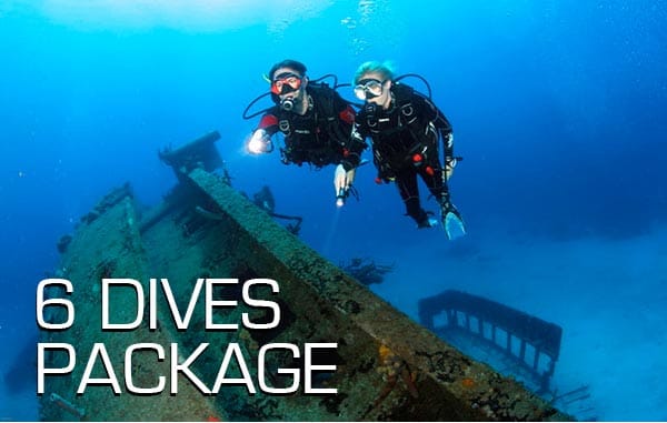 6 dive package in Madeira