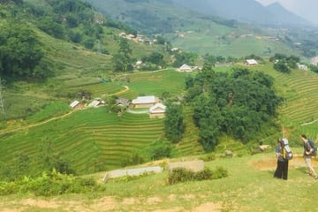 5 Hours Trekking with Terraced Rice Field in Sapa