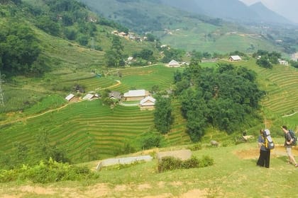 5 Hours Trekking with Terraced Rice Field in Sapa