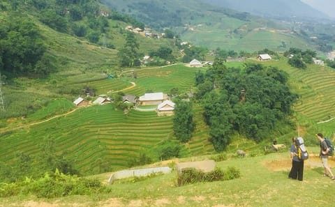 Trekking Tour of Terraced Rice Fields in Sapa, Vietnam