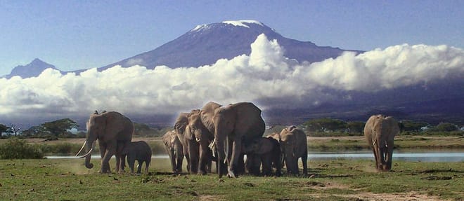 2days Amboseli Overnight Safari 9