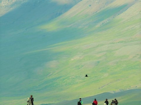 River Delta, photo 12