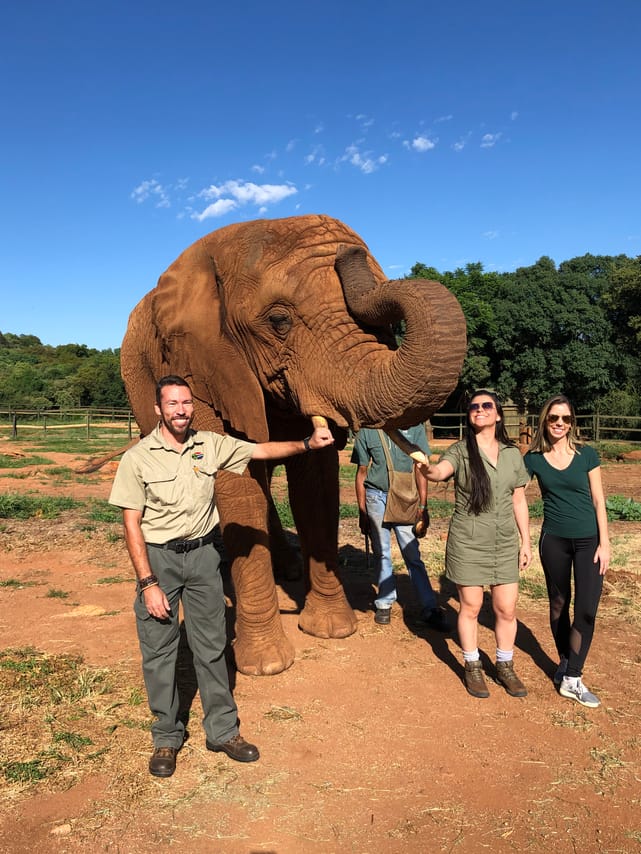 Elephant Sanctuary Johannesburg 