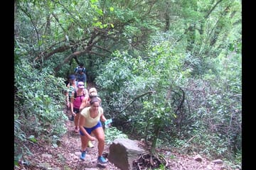 4x4 Adventure Tour of Yungas and El Rey National Park from Salta