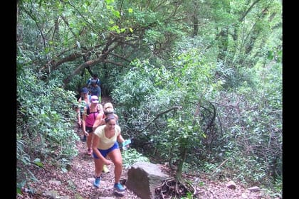 Yungas and El Rey National Park 4×4 Full Day Tour from Salta