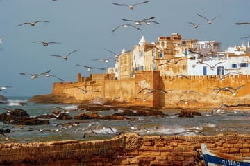 Day Trip from Marrakech to Essaouira's Historic Medina