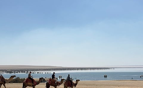 Al Fayoum Full-Day Tour from Cairo with Wadi Hitan