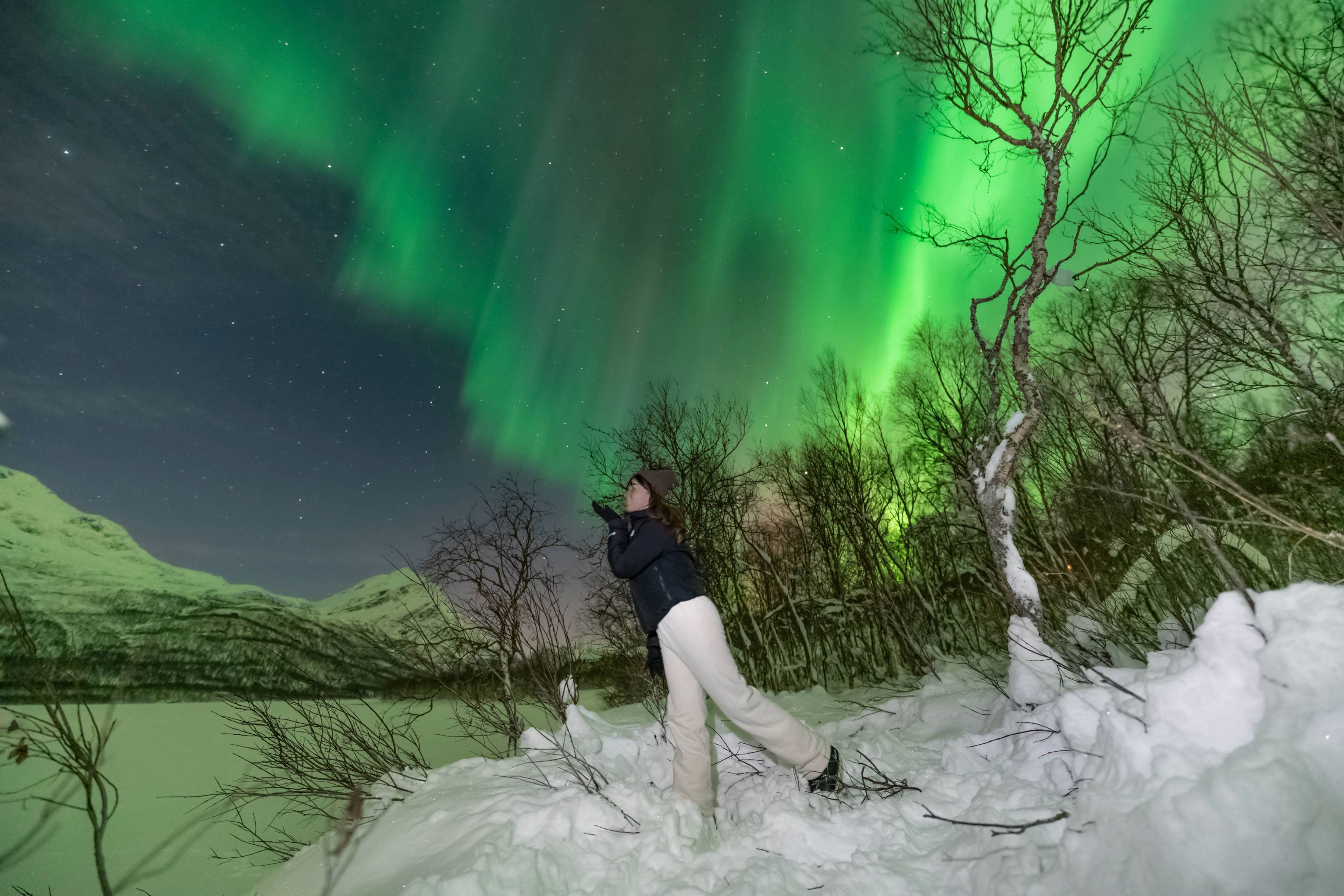 Traveler in white winter pants standing among snowy trees looking up in awe at a massive green Northern Lights display in Tromsø.