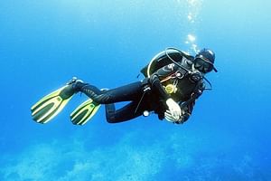 Coral Garden Amazing Snorkeling Sea Trip & intro dive With Transfer - Marsa Alam