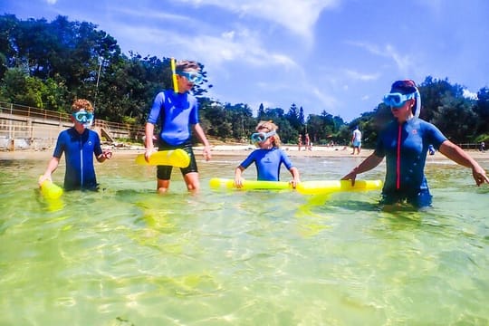 Family Snorkeling Tour with Private Guide In Sydney