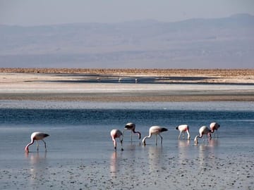 Salar de Atacama
