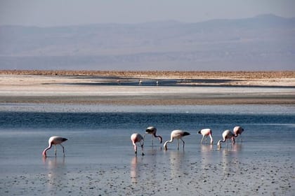 5-Day Tour Best of San Pedro de Atacama