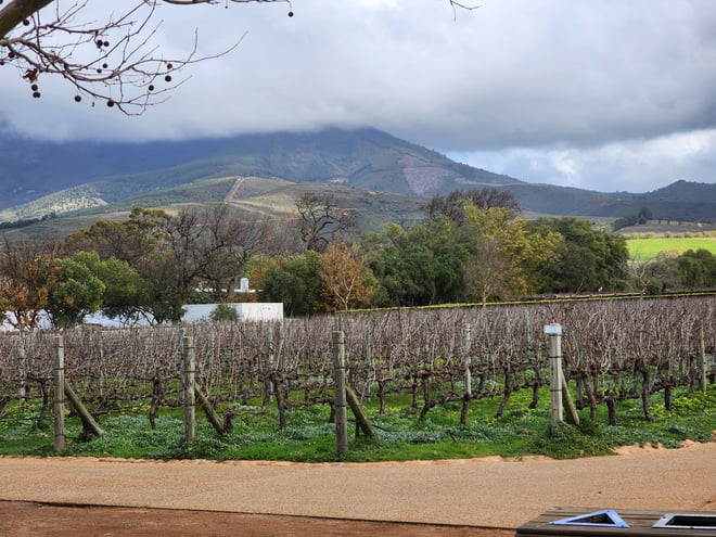 CAPE TOWN  :FULL-DAY  WINE  TASTING TOUR WITH  WINE  TRAM - Photo 17