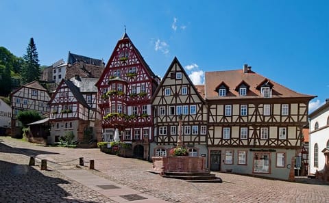 Private Walking Tour of Historic Miltenberg, Germany
