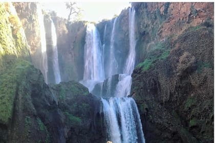 Marrakech : Private Ouzoud Waterfall Day Trip