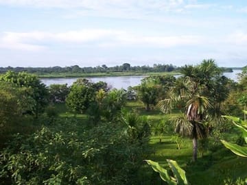 4 Day Trip To Pacaya Samiria In Iquitos