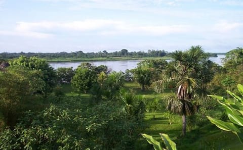 4-Day Nature Tour of Pacaya Samiria from Iquitos