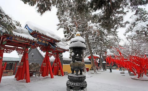 Private Day Tour of Shaolin Temple and Mt. Song from Zhengzhou