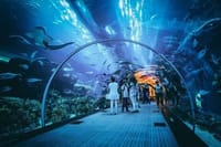 Ski Dubai Tickets with options 9