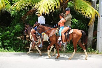 Horseback Riding and Beach Break in Flowers Bay, Roatán
