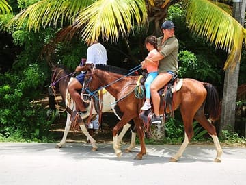 Horseback Riding and Beach Break in Flowers Bay, Roatán