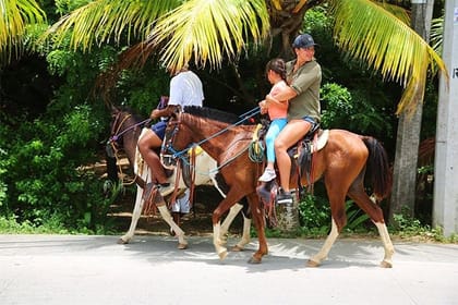 South Side Horseback Riding, Beach Break & Roundway Transfer