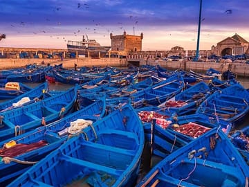 Day Trip to Essaouira from Marrakech with Free Time