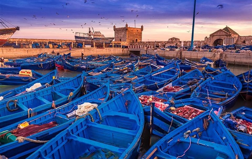 Day Trip to Essaouira from Marrakech with Free Time