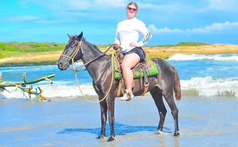 Horseback Riding on the Beaches Fields and Forests of Punta Cana