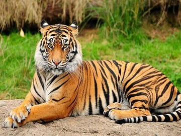 Private Day Trip for Birdwatching at Central Zoo, Kathmandu