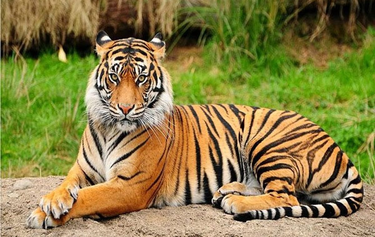 Private Day Trip to Central Zoo at Jawalakhel