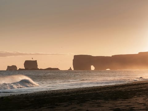 Private South Coast Waterfalls, Beach and Glacier Tour from Reykjavik, photo 3