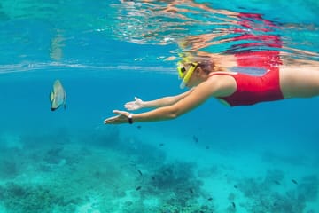 Munduk Waterfall Dolphin Watching and Snorkeling Tour