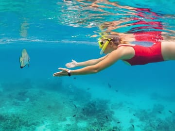 Explore Lovina Beach's vibrant underwater world and discover colorful marine life up close.