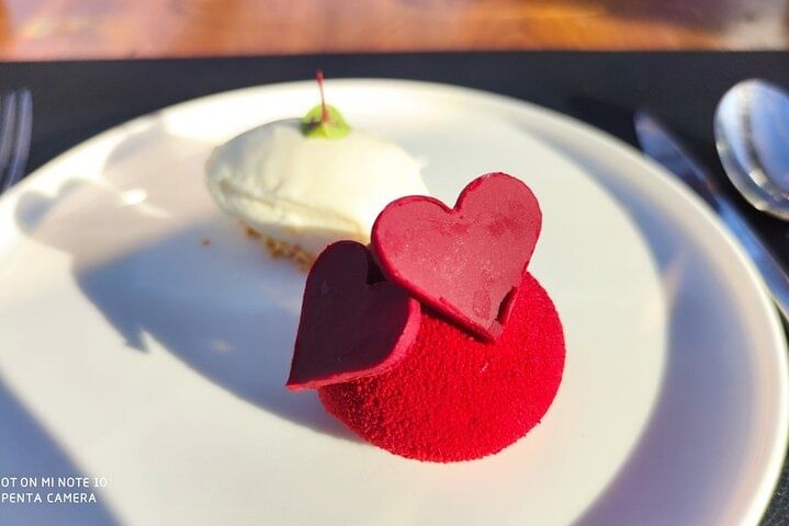 NYC Bustronome Gourmet Sightseeing Dinner tour Panoramic Bus