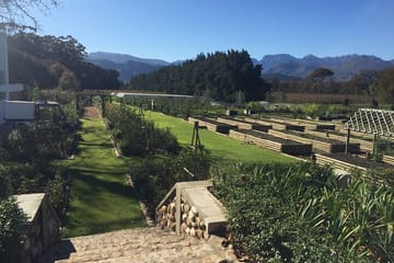 Private Wine Tasting Tour in Stellenbosch and Franschhoek