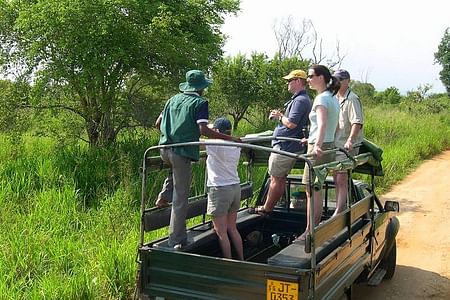 Udawalawe National Park Game Drive: Experience Sri Lankan Elephants